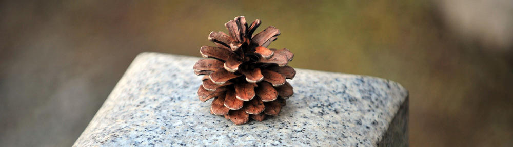Adventskalender-Gewinnspiele Weihnachten 2011